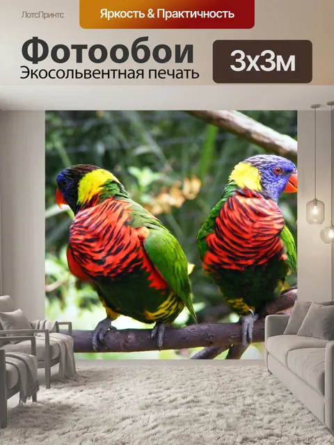 Фотообои Птицы