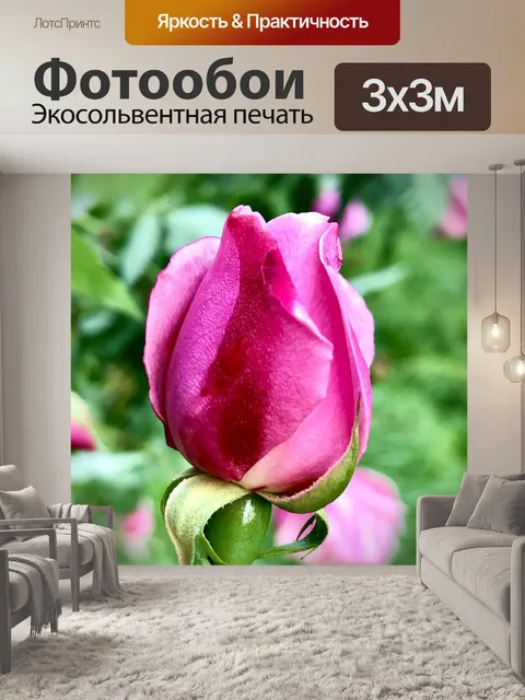 Фотообои Роза