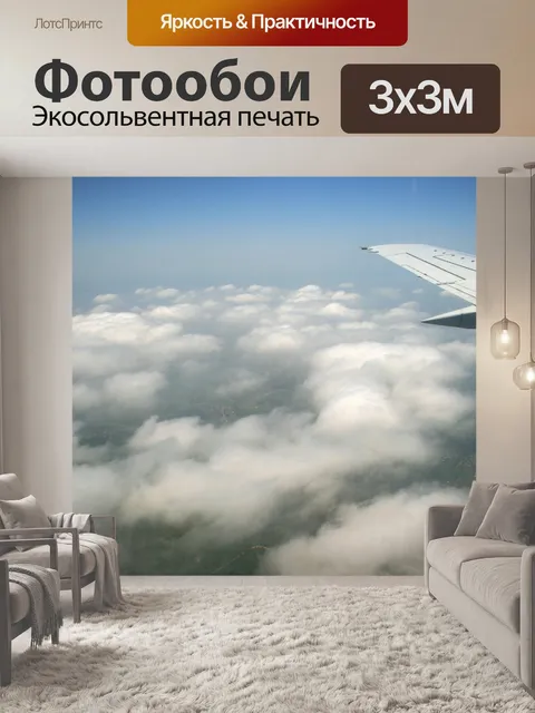 Фотообои пролетел над облаками