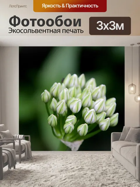 Фотообои Цветы