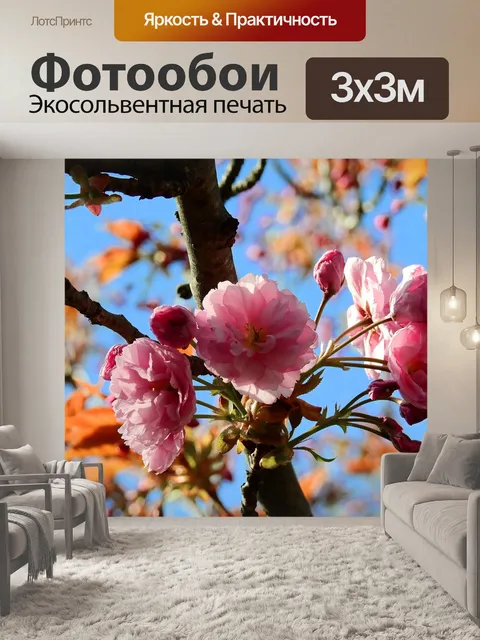Фотообои Цвести