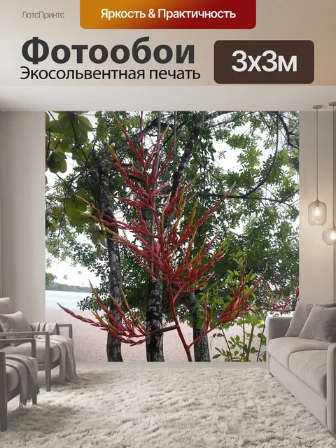 Фотообои Цветок
