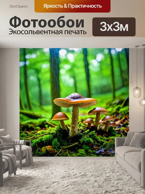 Фотообои грибы лес, пейзаж лесных грибов через призму дождевых капель, игра света и цвета на природе, проявляющая…