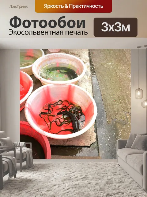 Фотообои Рыбы