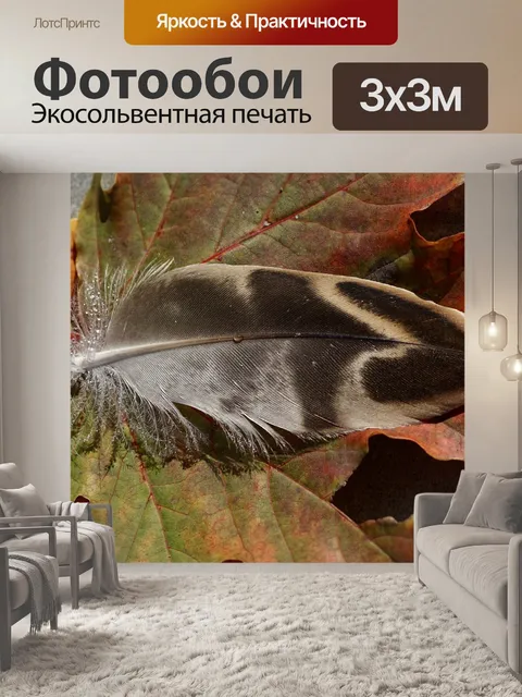Фотообои Утки перо
