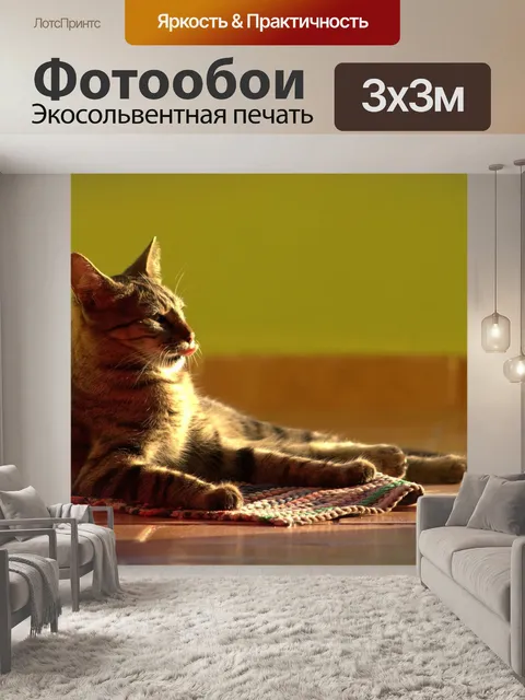 Фотообои Кошка