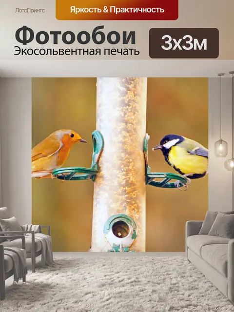 Фотообои Птица - Робин и Тит