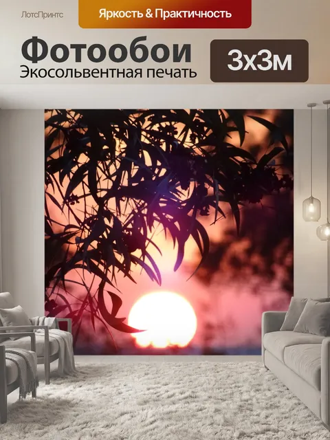 Фотообои Заход солнца