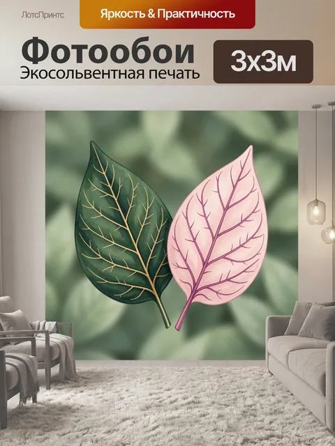 Фотообои Два контрастных листа