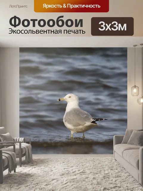 Фотообои Птица