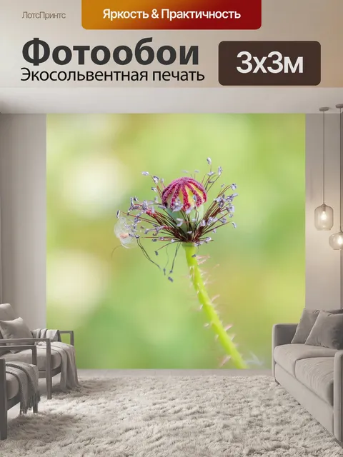 Фотообои Мака