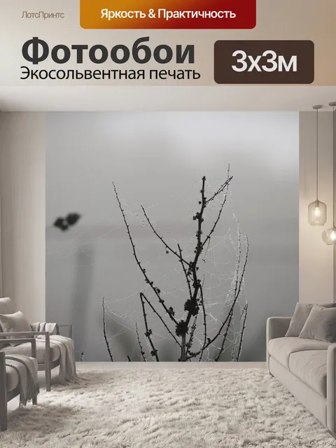 Фотообои Паутина