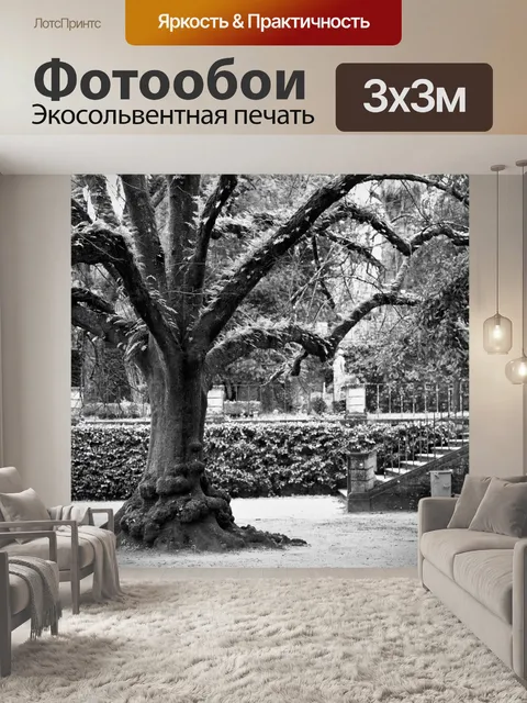 Фотообои Дерево