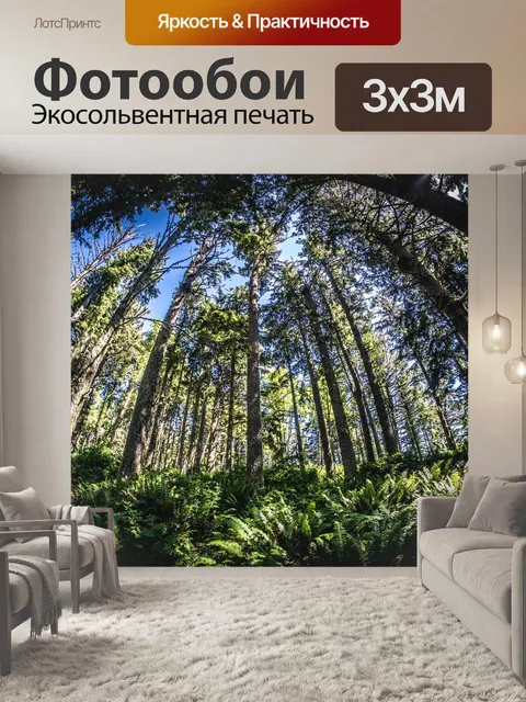 Фотообои Рыбий глаз
