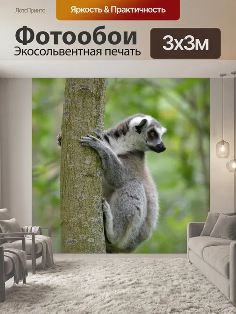 Фотообои Кольцо лемуров 6