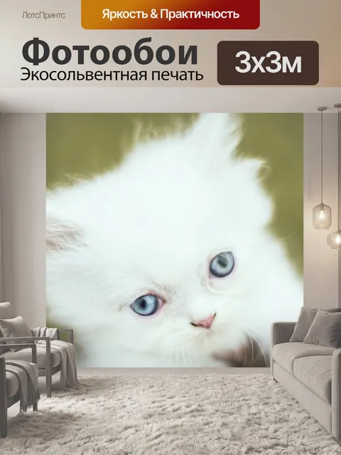 Фотообои Кошки