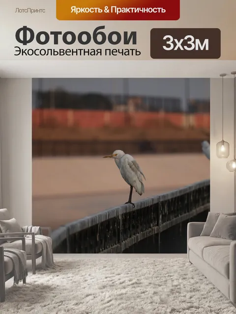 Фотообои Птицы