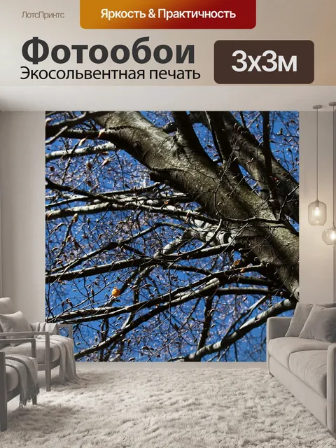 Фотообои Дерево
