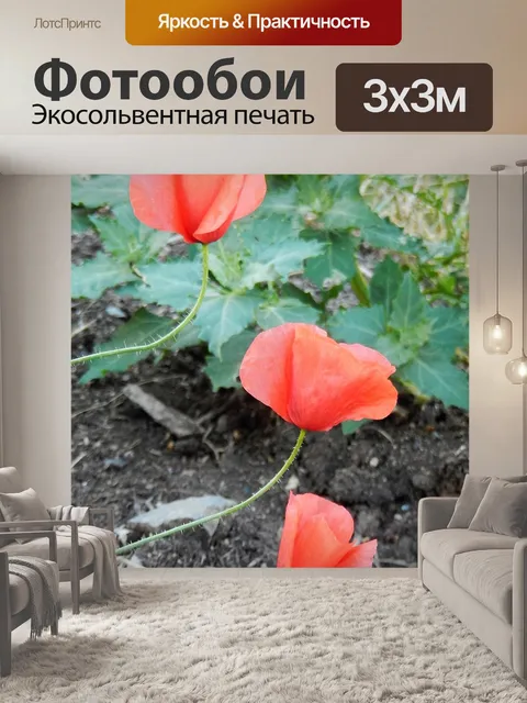Фотообои Маки