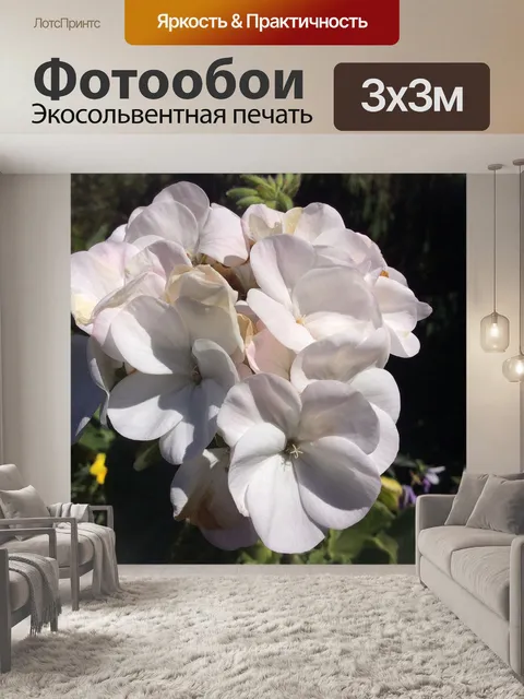 Фотообои Цветы