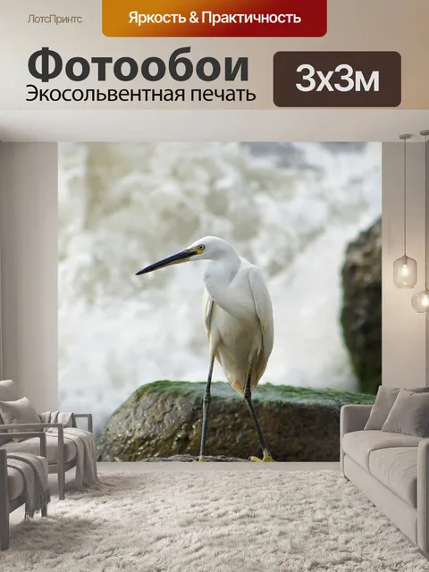 Фотообои Животное
