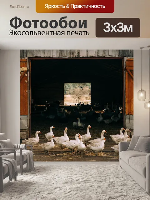 Фотообои Гусь