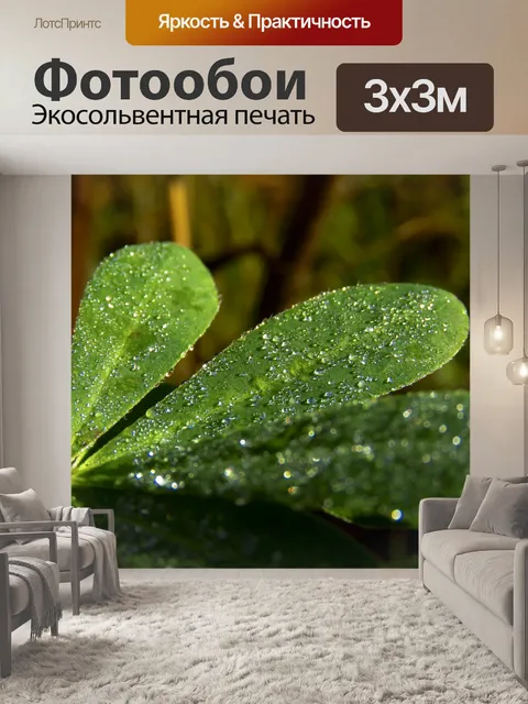 Фотообои Листья