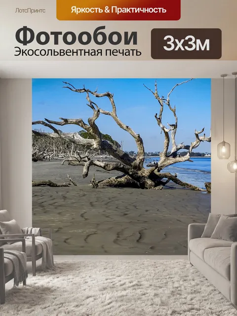 Фотообои Пляж Дрифвуд