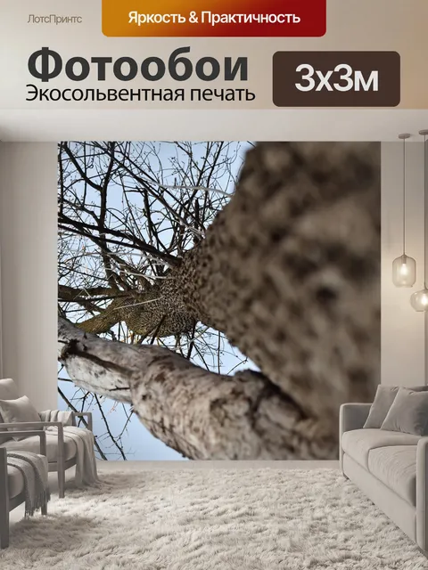 Фотообои Дерево
