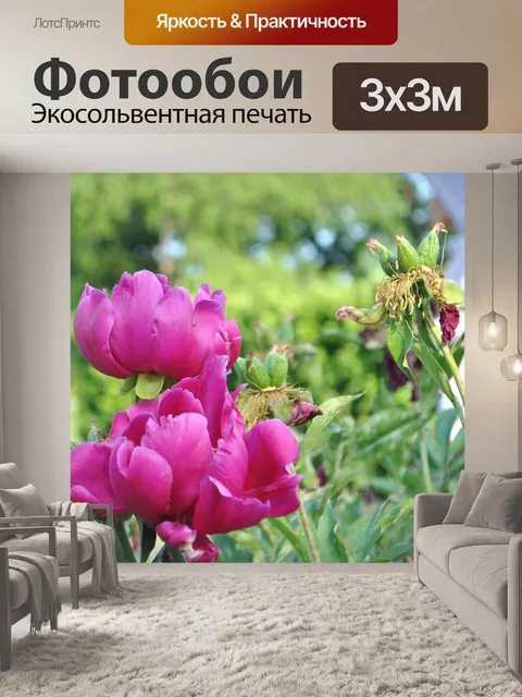 Фотообои Пион