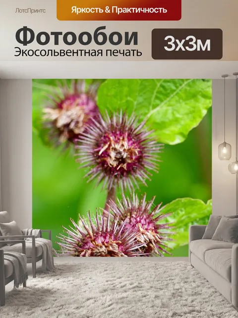 Фотообои Природа