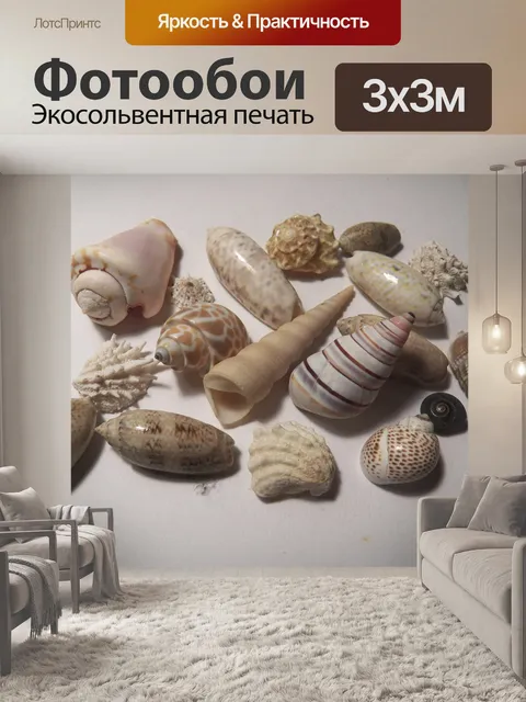 Фотообои коллекция морских раковин