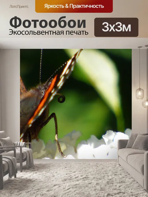 Фотообои Бабочка на цветке