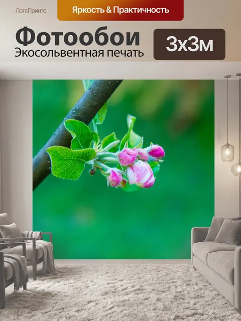 Фотообои Цветы