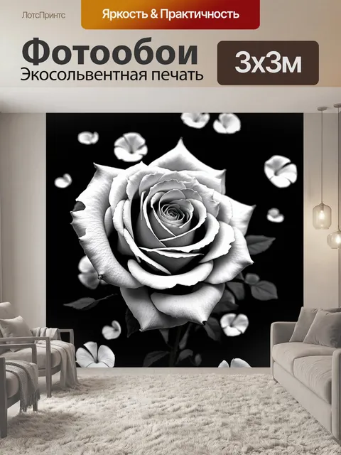 Фотообои розы в стиле черно-белый, с изображением разбросанных лепестков, создающих абстрактную композицию