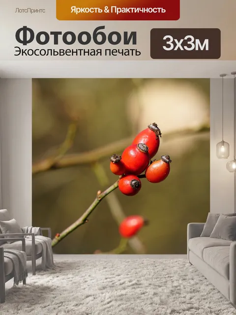 Фотообои Шиповник