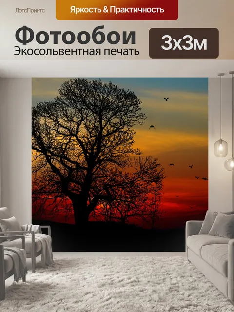 Фотообои Заход солнца