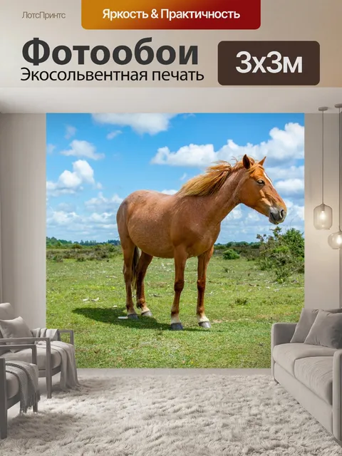 Фотообои Лошадь