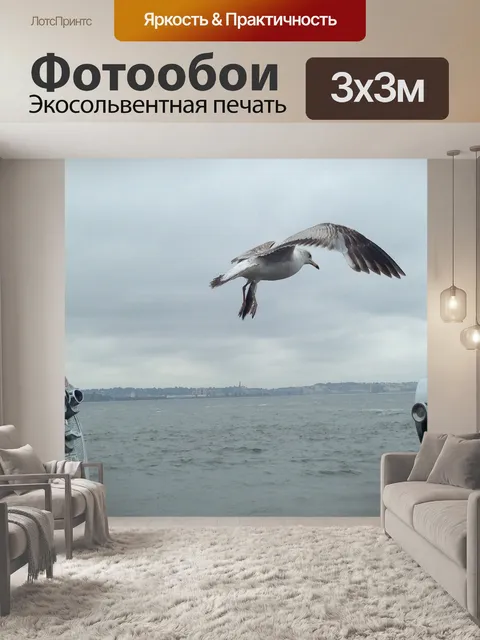 Фотообои Птица