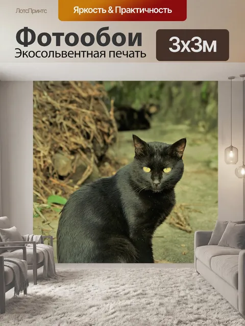 Фотообои Кошка