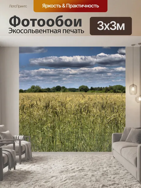 Фотообои Фон