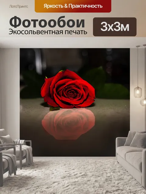 Фотообои Роза