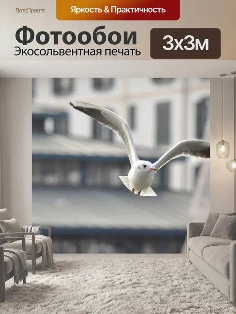 Фотообои Чайка