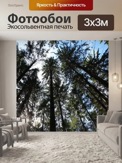 Фотообои Лес