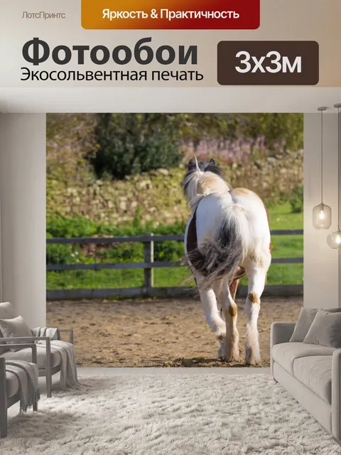 Фотообои лошадь