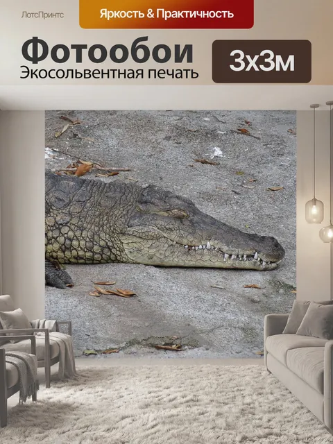 Фотообои Зоопарк