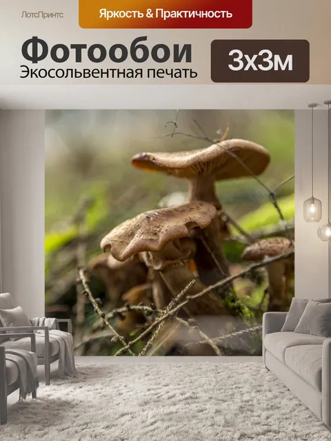 Фотообои Дикие грибы