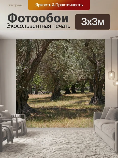 Фотообои Оливковые деревья