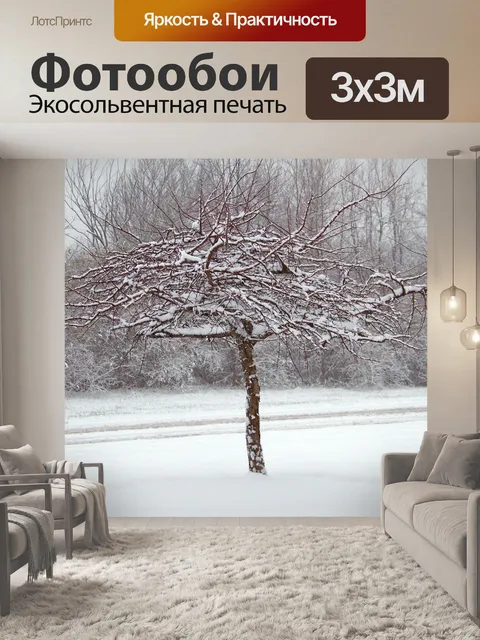 Фотообои Снег на деревьях