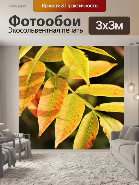 Фотообои Красные и желтые осенние листья